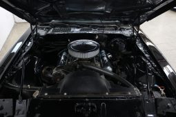 1979 Pontiac Trans Am full